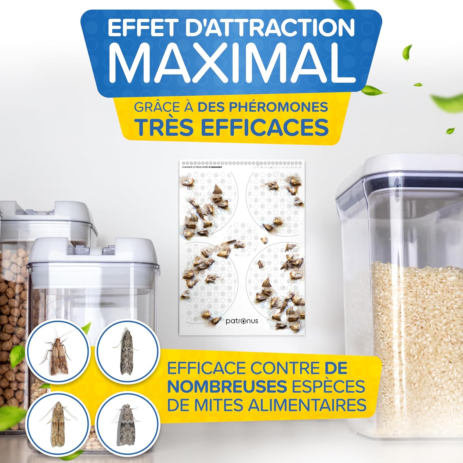 Detalle de Piège à Mites Alimentaires Patronus – Pack avantageux de 10 pièges adhésifs à phéromone, attraction maximale