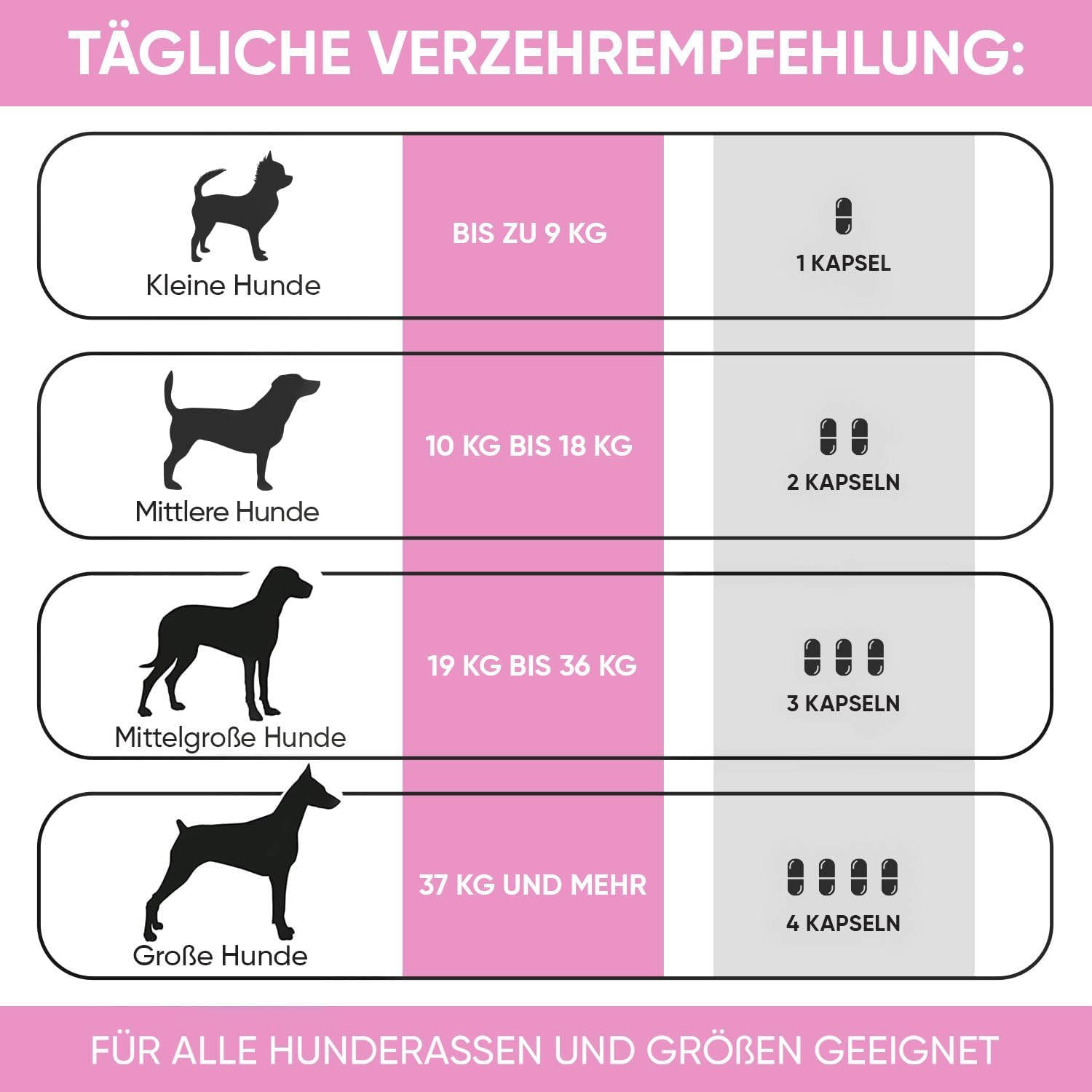 Thumbnail 4 de Animigo Harnwegshilfe für Hunde – 120 Kapseln mit Cranberry, D-Mannose und Kräuterextrakten