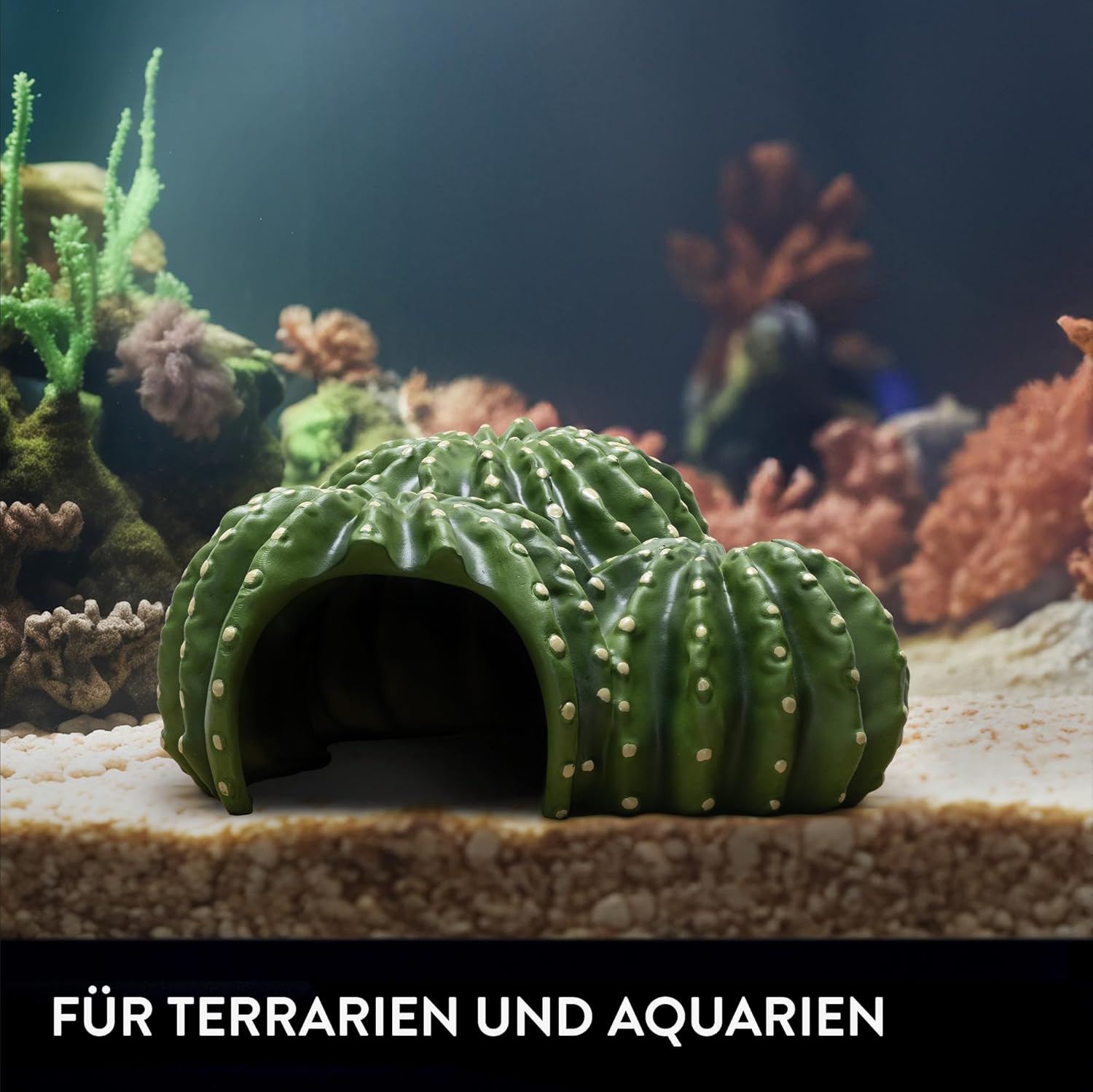 Thumbnail 4 de Navaris Terrarium Deko Schildkrötenhaus