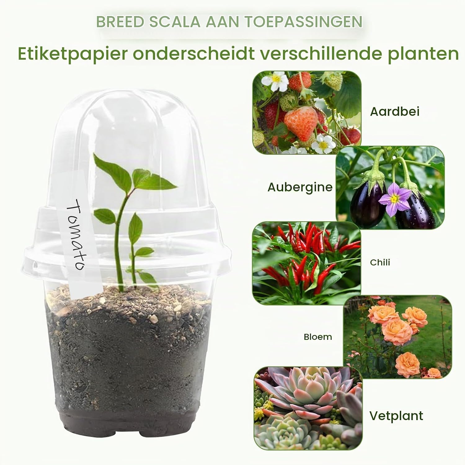 Detalle de FxlStelrion kweekpotten Ø 10 cm met vochtkoepels en plantenetiketten
