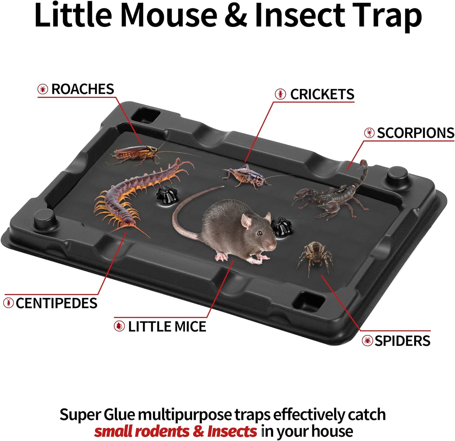 Thumbnail 1 de LULUCATCH Mouse & Insect Traps 12-Pack: heavier sticky glue trays for indoor pests