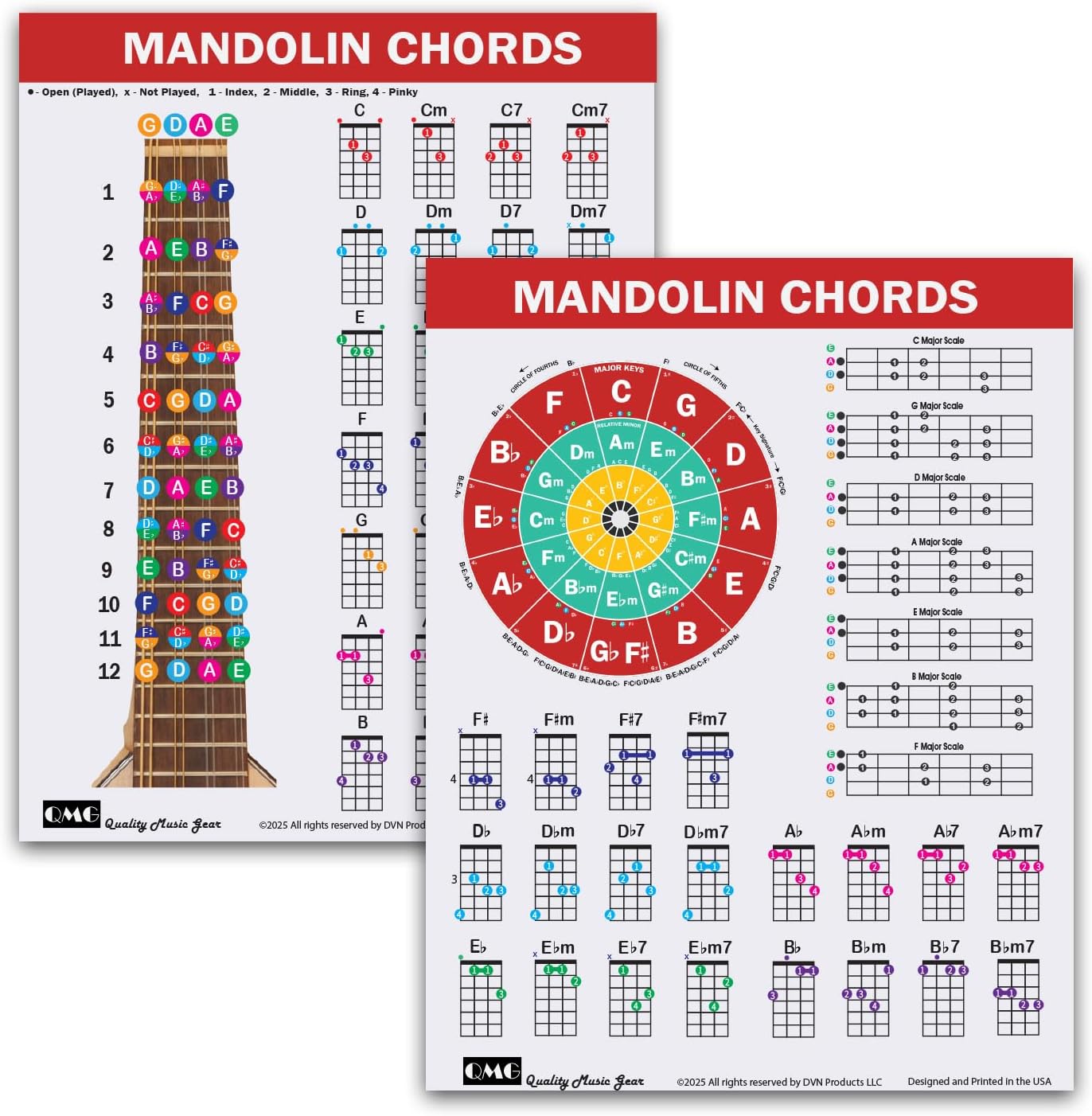 Detalle de QMG Mandolin Chord Chart, Laminated