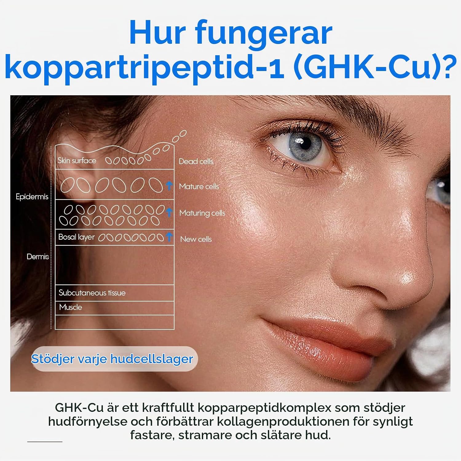Detalle 2 de FUBAOLIN kopparpeptidserum för ansiktet med GHK-Cu och hyaluronsyra, 2-pack