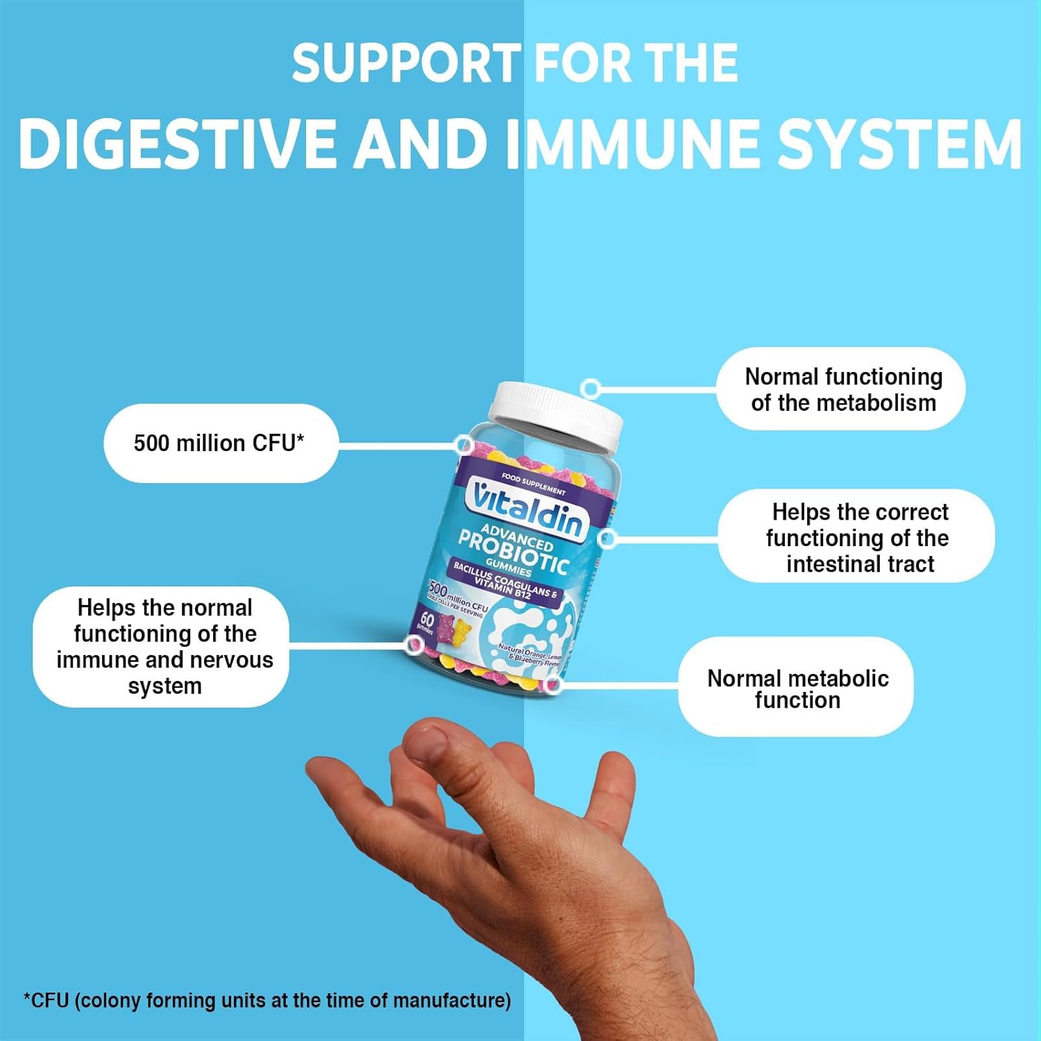 Thumbnail 3 de VITALDIN Probiotique Gummies – 500 millions d'UFC Bacillus Coagulans par dose + Vitamine B12, 60 gommes – saveur Fruits