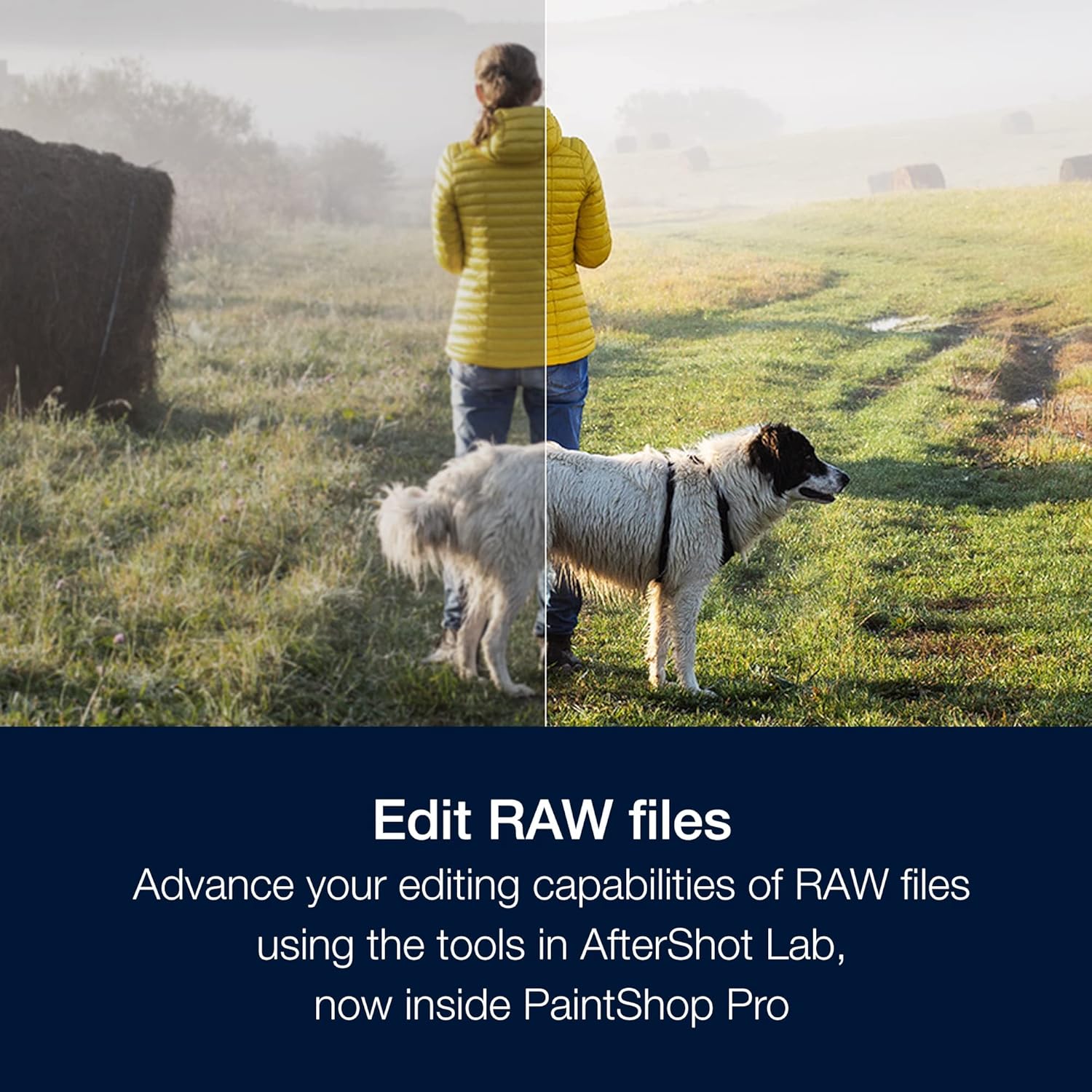Thumbnail 4 de Corel PaintShop Pro 2023 Ultimate: Powerful Photo Editing & Graphic Design Suite