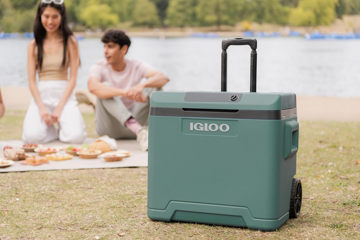 Thumbnail 5 de IGLOO IE42: 42 L Kühlbox mit 12V/230V, Rollen und Eco/Max Modus