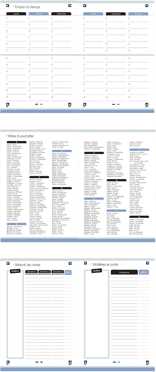 Detalle de Agenda Oxford Nude 12x18 cm – 1 jour par page, 352 pages, Argent