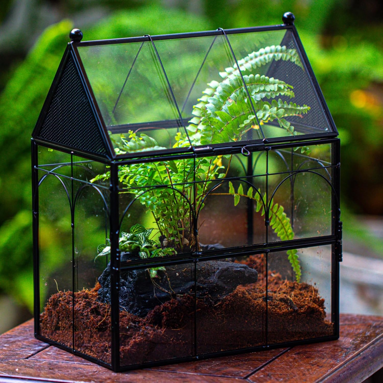 Thumbnail 6 de NCYP Glass House Terrarium 19×12.5×23 cm