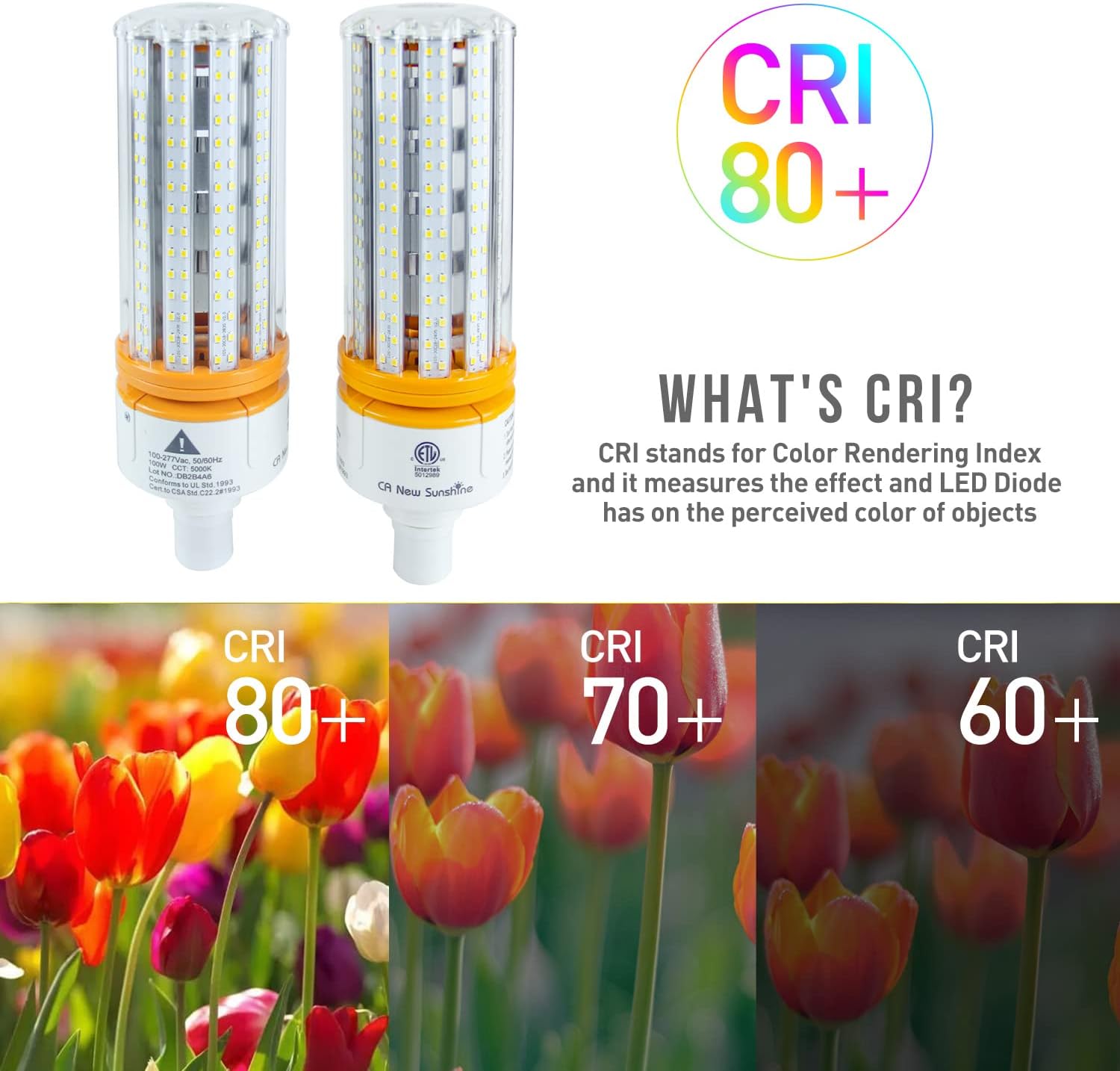 Thumbnail 4 de CA New Sunshine 100W LED Corn Bulbs, 15,000 Lumens, 5000K, 2-Pack