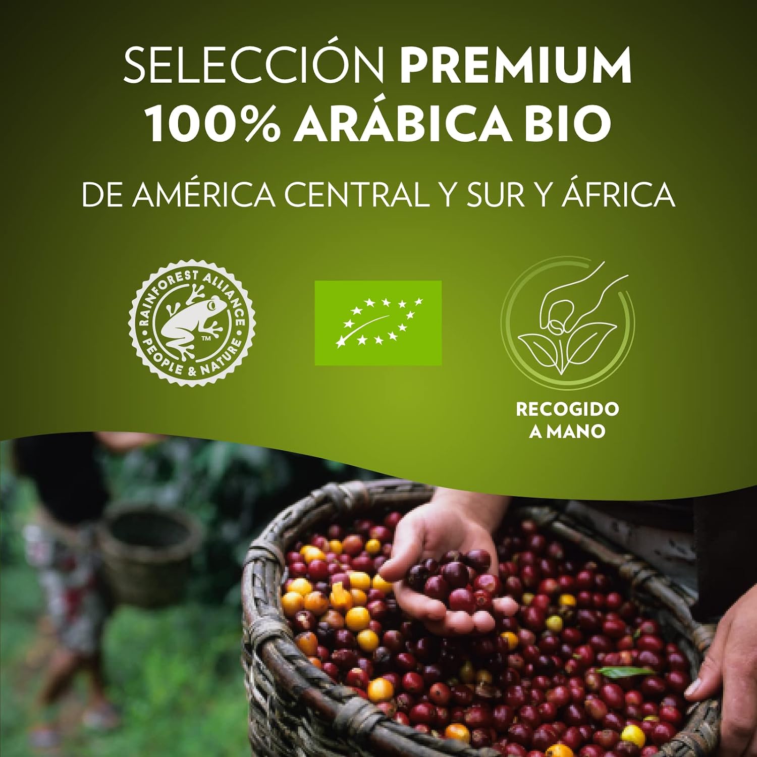 Thumbnail 6 de Lavazza Tierra For Planet Bio-Organic Arabica Espresso – schokoladiges Aroma, Nespresso Original kompatibel (10 Kapseln, Packung mit 2)