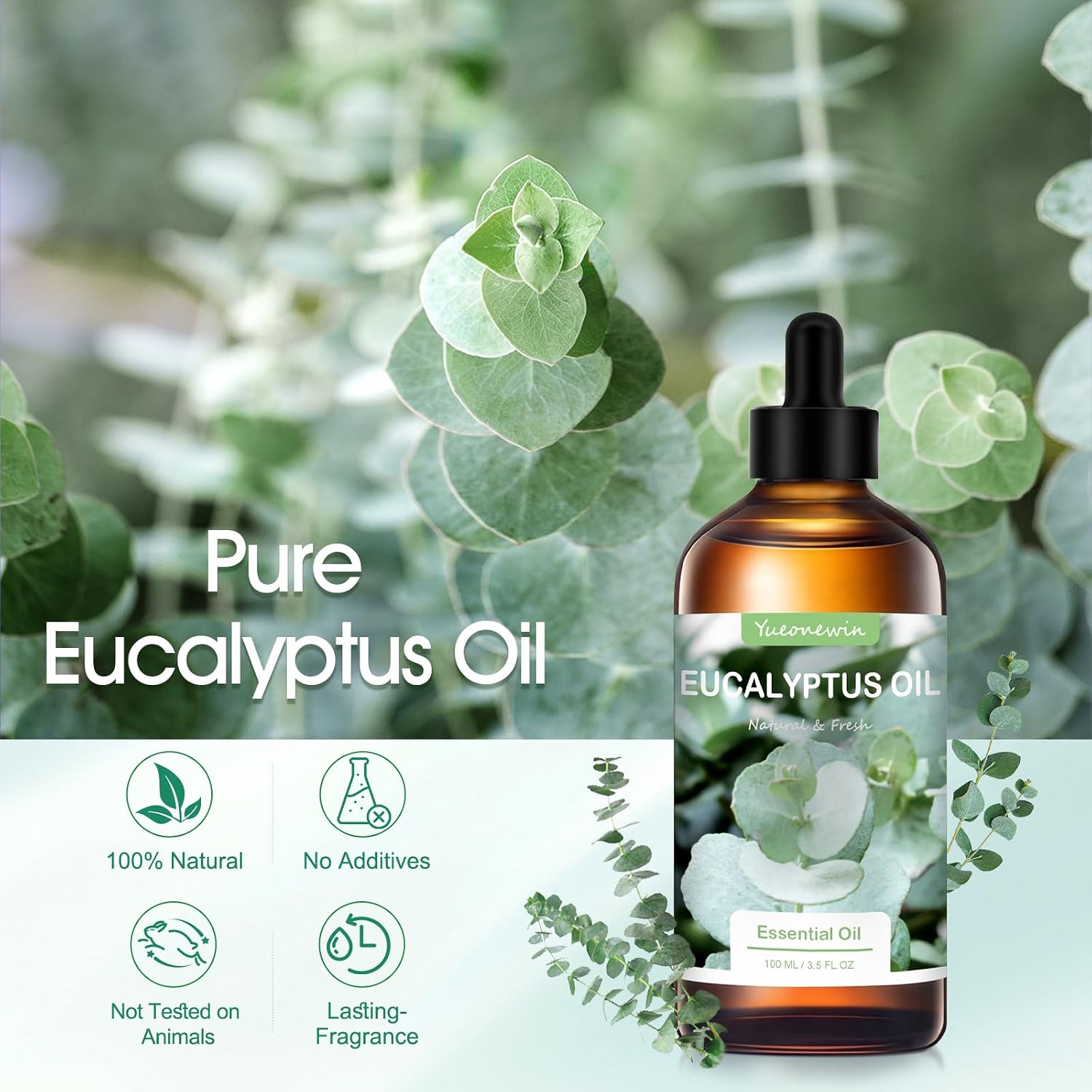 Detalle 2 de Olio di eucalipto 100 ml per aromaterapia
