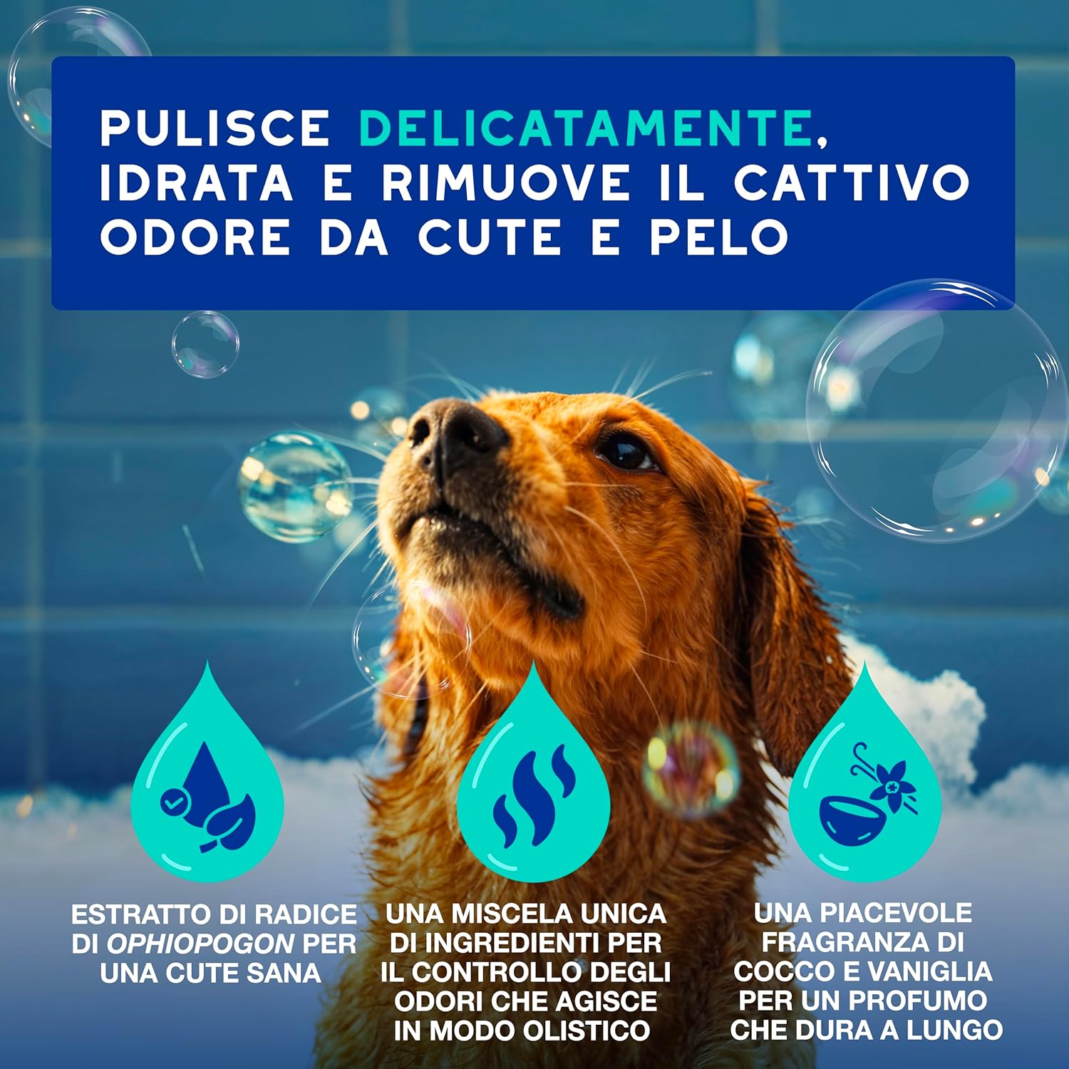 Detalle 2 de DOUXO SPA Shampoo Antiodore 250 ml