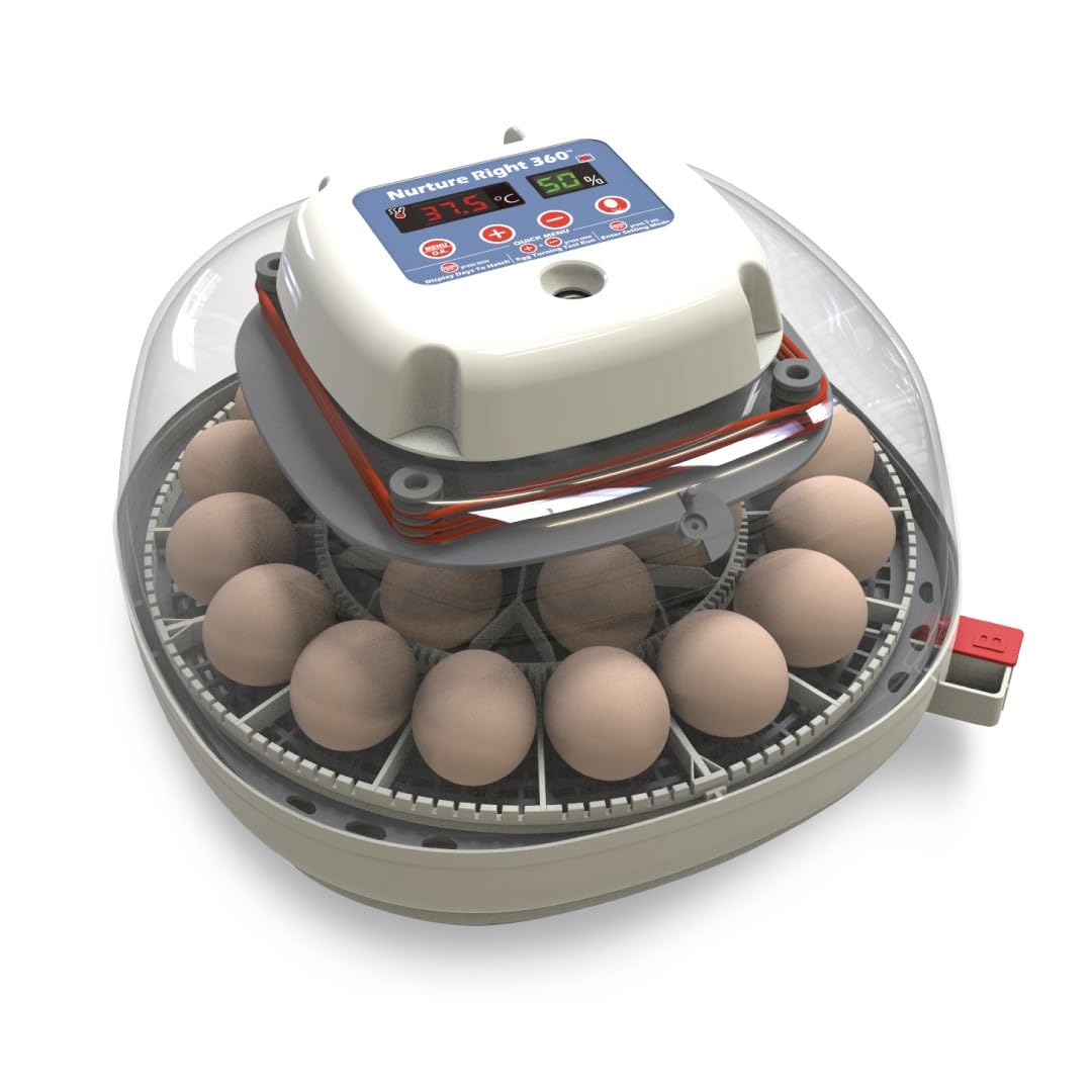 Detalle de Harris Farms Egg Incubator 22-Egg Capacity