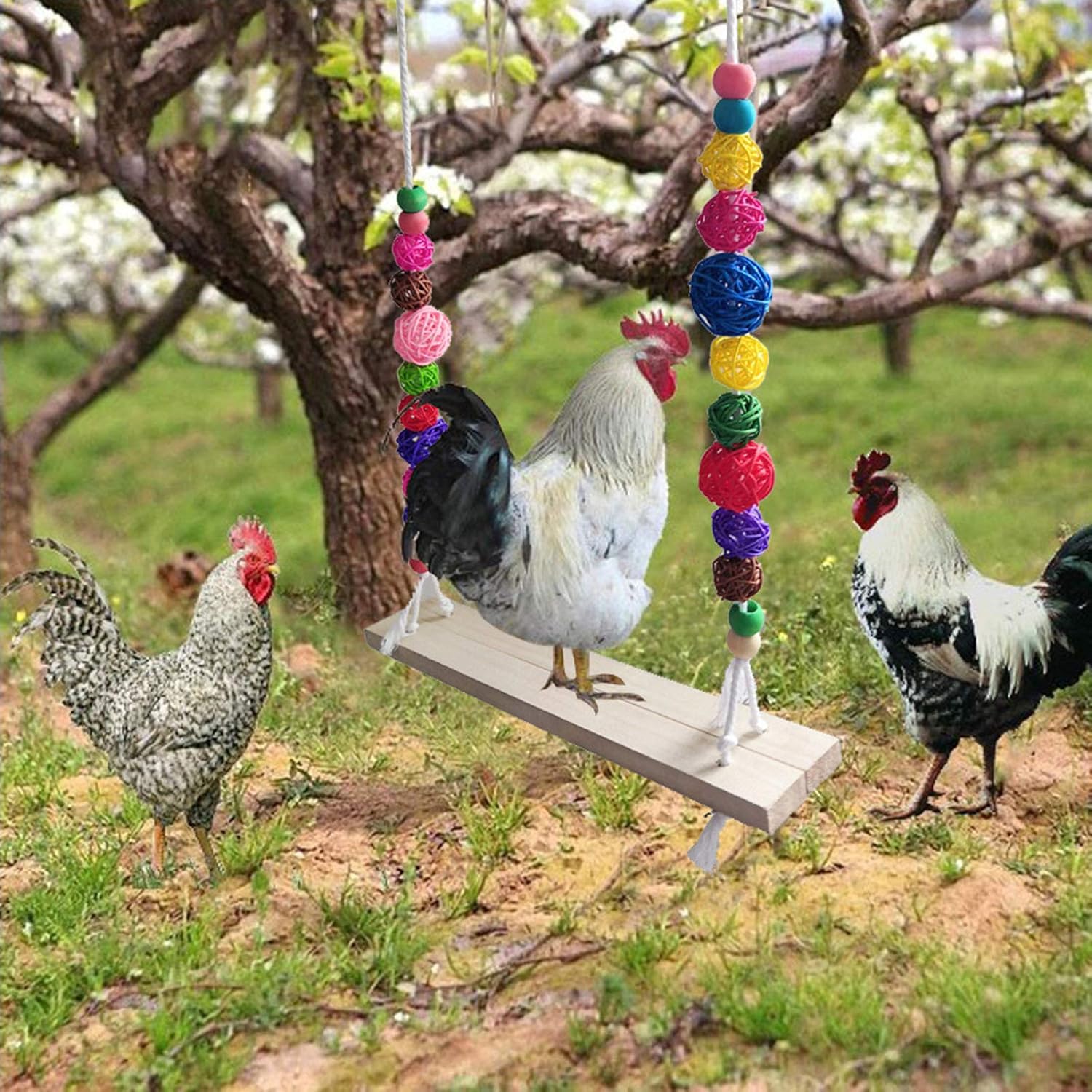 Detalle 1 de Vogelschaukeln Hühnerschaukel aus natürlichem Holz – Sitzstangen-Spielzeug für Hühner, Papageien & große Vögel