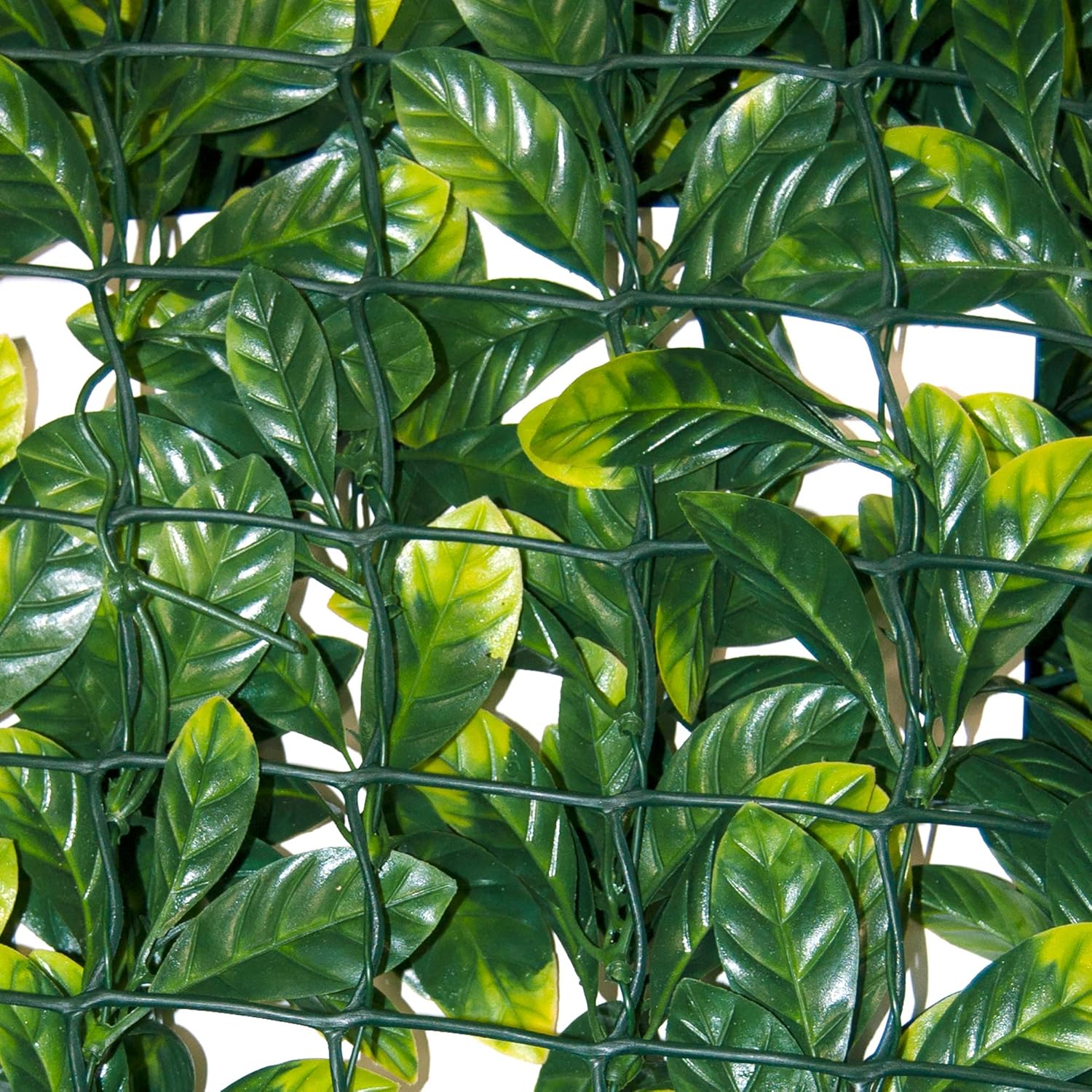 Thumbnail 1 de TENAX Divy 3D Plus Laurus siepe sintetica 1,50x3 m con foglie 3D e rete di supporto in plastica