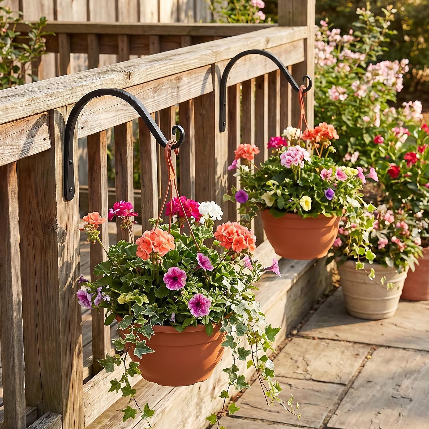 Thumbnail 6 de FEED GARDEN Wall-Mounted Plant Hooks 8-Inch