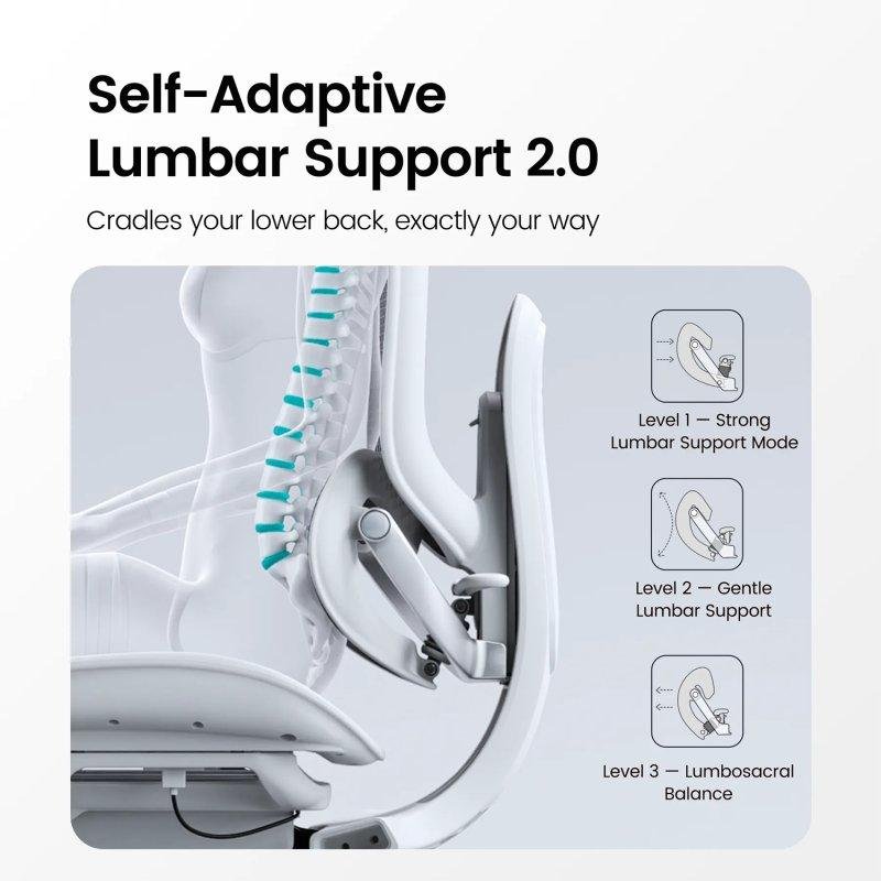 Thumbnail 2 de Sihoo C300 Pro V2, silla ergonómica con soporte lumbar autoajustable