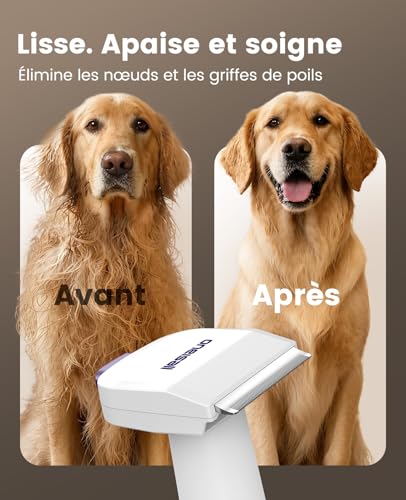 Detalle de oneisall Aspirateur Poil de Chien et Chat – Puissance 12000Pa et 4 Accessoires, 1,5L