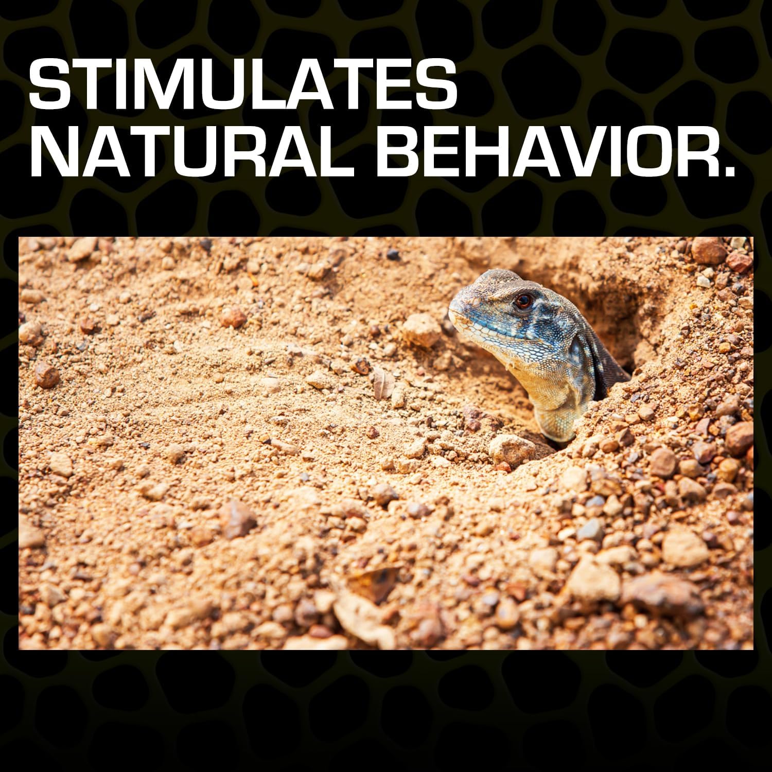 Thumbnail 2 de Exo Terra Desert Sand 4.5 Kg reptile substrate 🐍