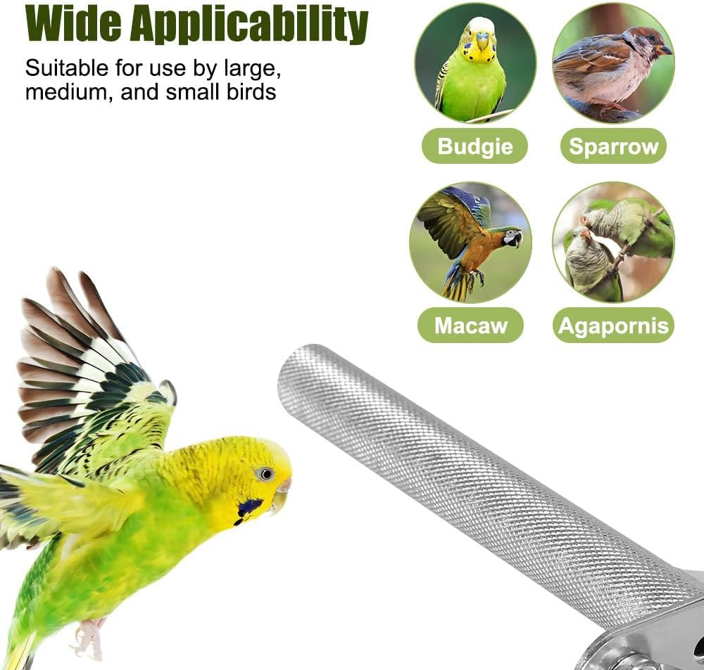 Detalle 2 de Bird Stainless Steel Perch for Parrots and Budgies: Durable Nail and Beak Grooming Stand