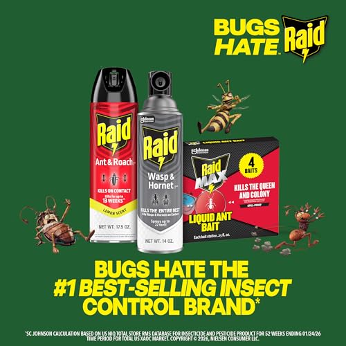 Thumbnail 8 de Raid Wasp & Hornet Killer Spray — 2-Pack, 14 oz Each (Kills Entire Nest)
