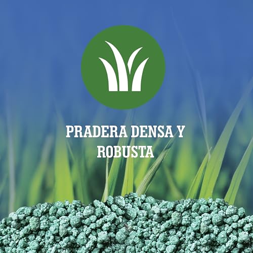 Detalle de LERAVA abono césped primavera (70 m²) – fertilizante de liberación lenta con protección fúngica