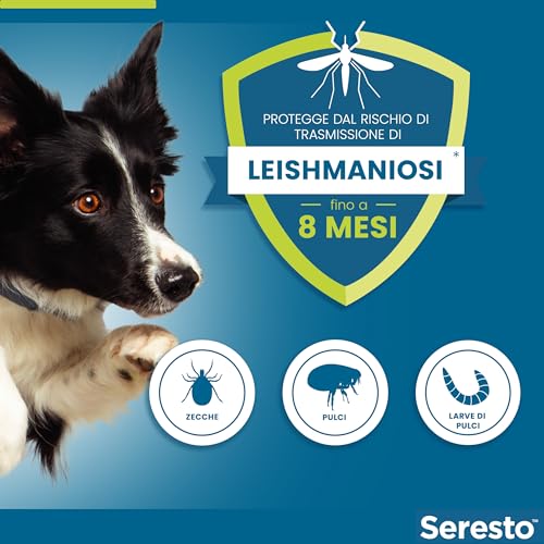 Detalle 2 de Seresto collare antiparassitario per cani oltre 8 kg: protezione fino a 8 mesi