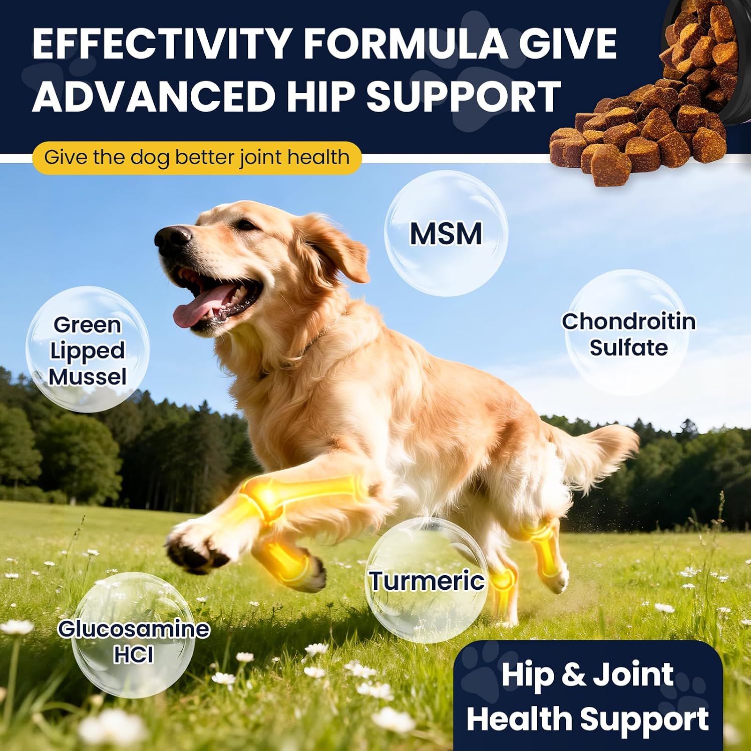 Thumbnail 4 de Dog Joint Supplement with Probiotics