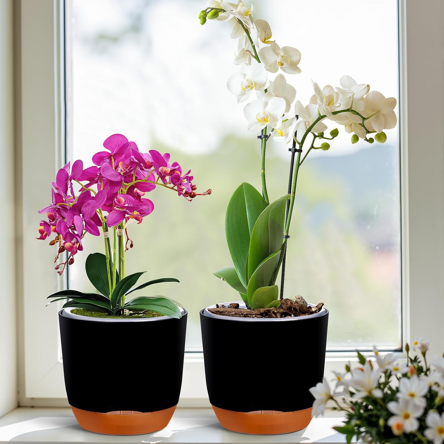 Thumbnail 5 de QCQHDU 2 Pack orchid pots 5.8 inch