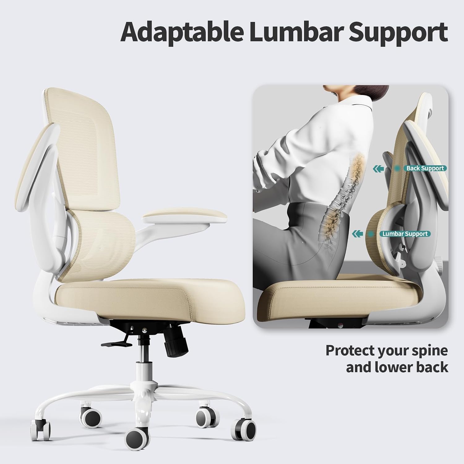 Thumbnail 6 de TRALT Office Chair Ergonomic Mesh Chair with Lumbar Support