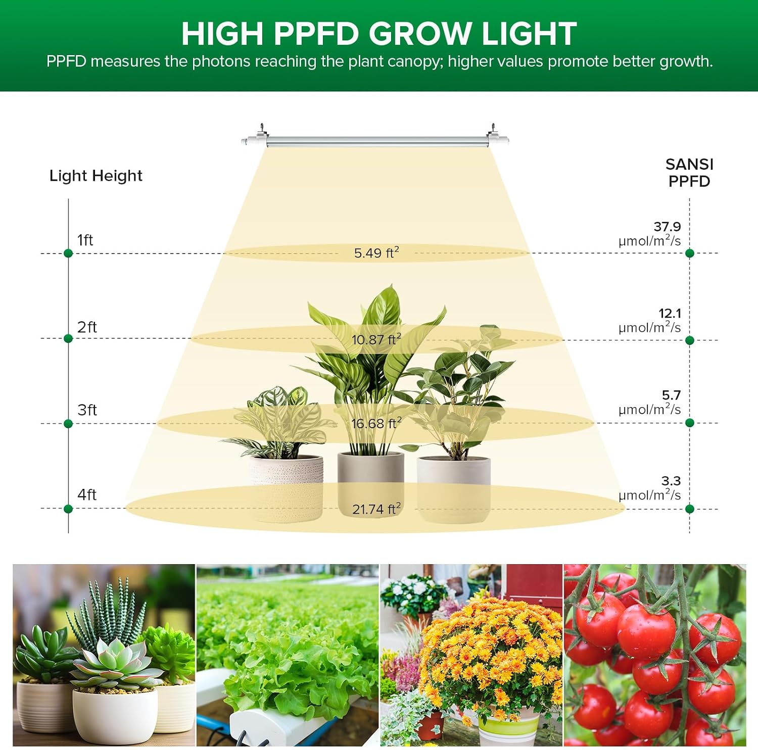 Detalle 1 de SANSI LED grow light strip, 2 ft