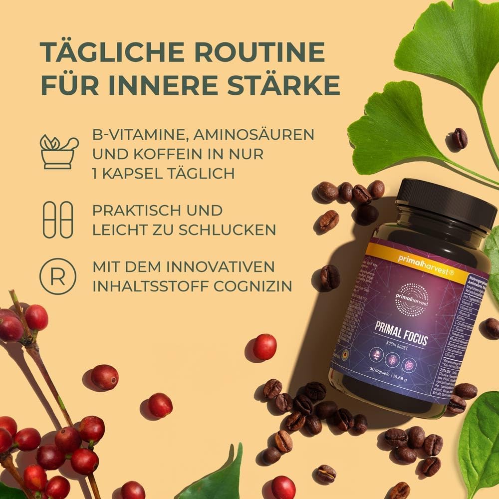 Thumbnail 3 de Primal Harvest Kogni Boost – Nahrungsergänzung mit Koffein, L-Tyrosin, Citicolin, Bacopa, Rhodiola & B-Vitaminen (vegan)
