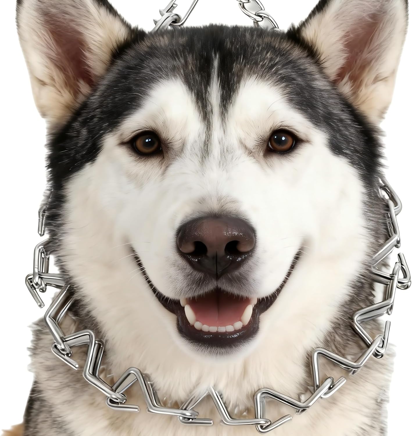 Thumbnail 6 de Dog Training Prong Collar, 22-Inch