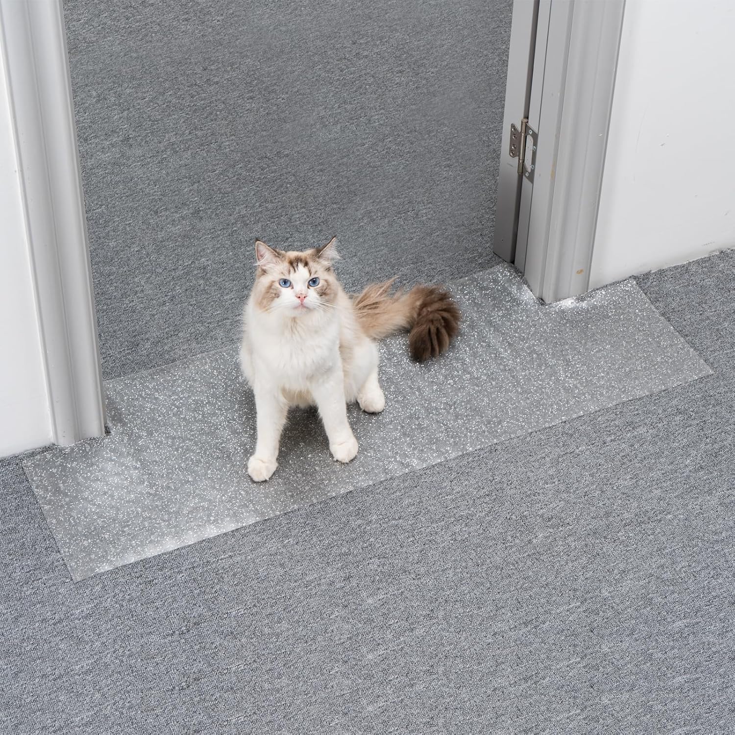 Detalle de Uross 110 cm Carpet Protector for Cats 🐱
