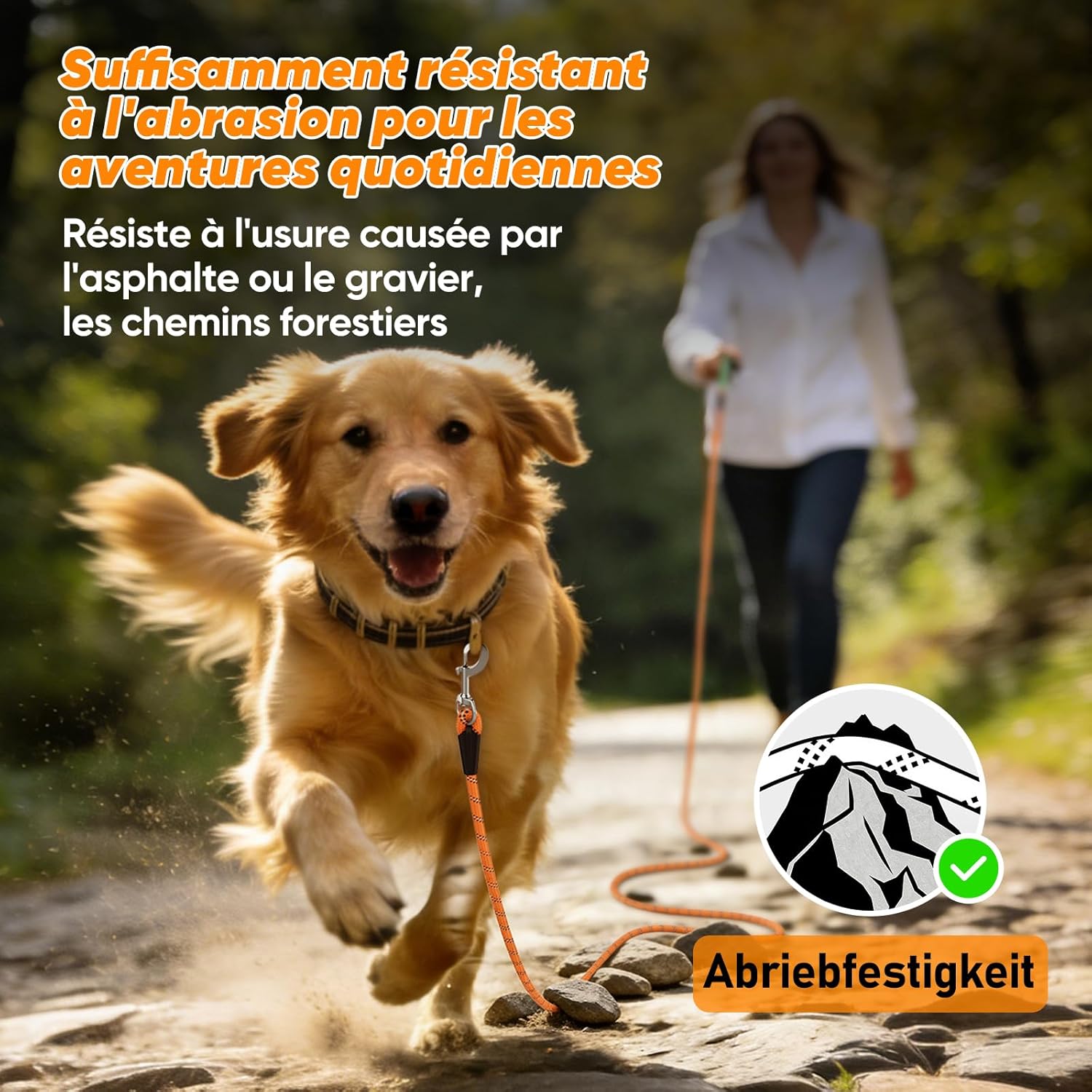 Detalle 2 de Aystkniet longe pour chien avec crochets pivotants aux deux extrémités (corde orange)