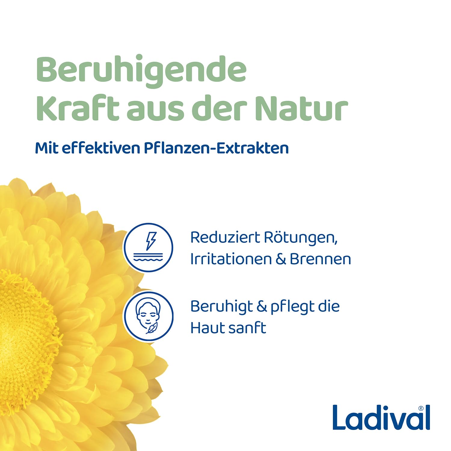 Detalle de Ladival Gerötete Haut Getöntes Sonnenschutz-Gel Gesicht LSF 50+ – CC Cream zur Rosacea-Korrektur