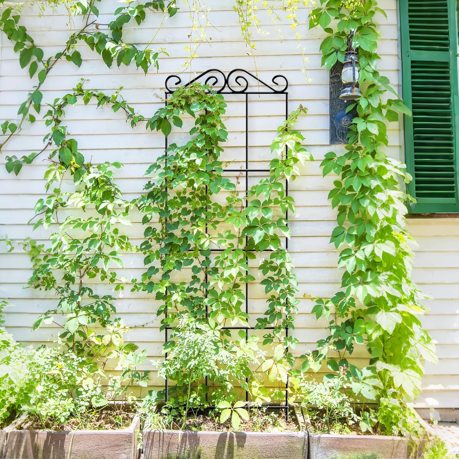 Thumbnail 3 de ARIFARO 147cm / 58" Metal Garden Trellis (Pack of 4) for Climbing Plants