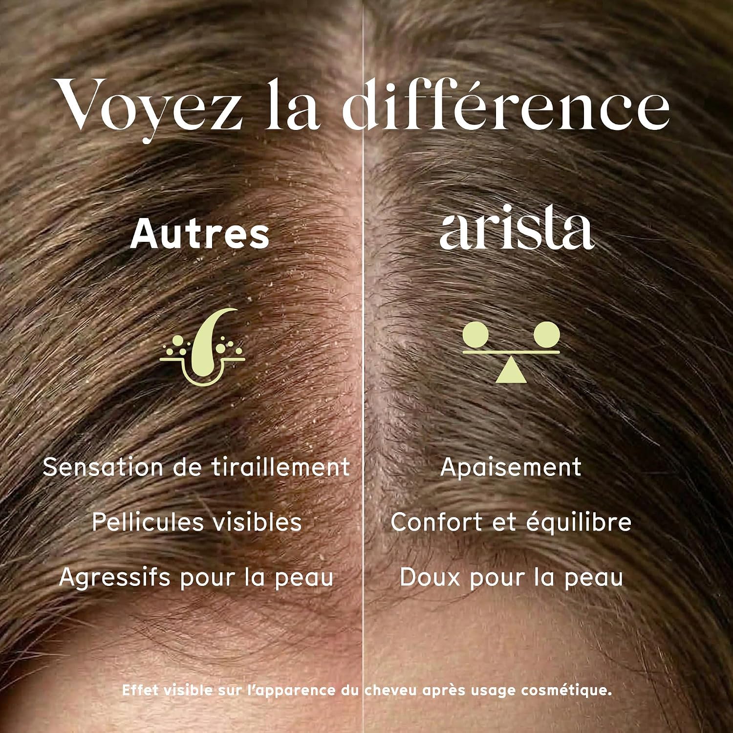 Detalle de Arista Shampoing solide antipelliculaire Tea Tree, Neem & Arnica (sans sulfate, vegan)