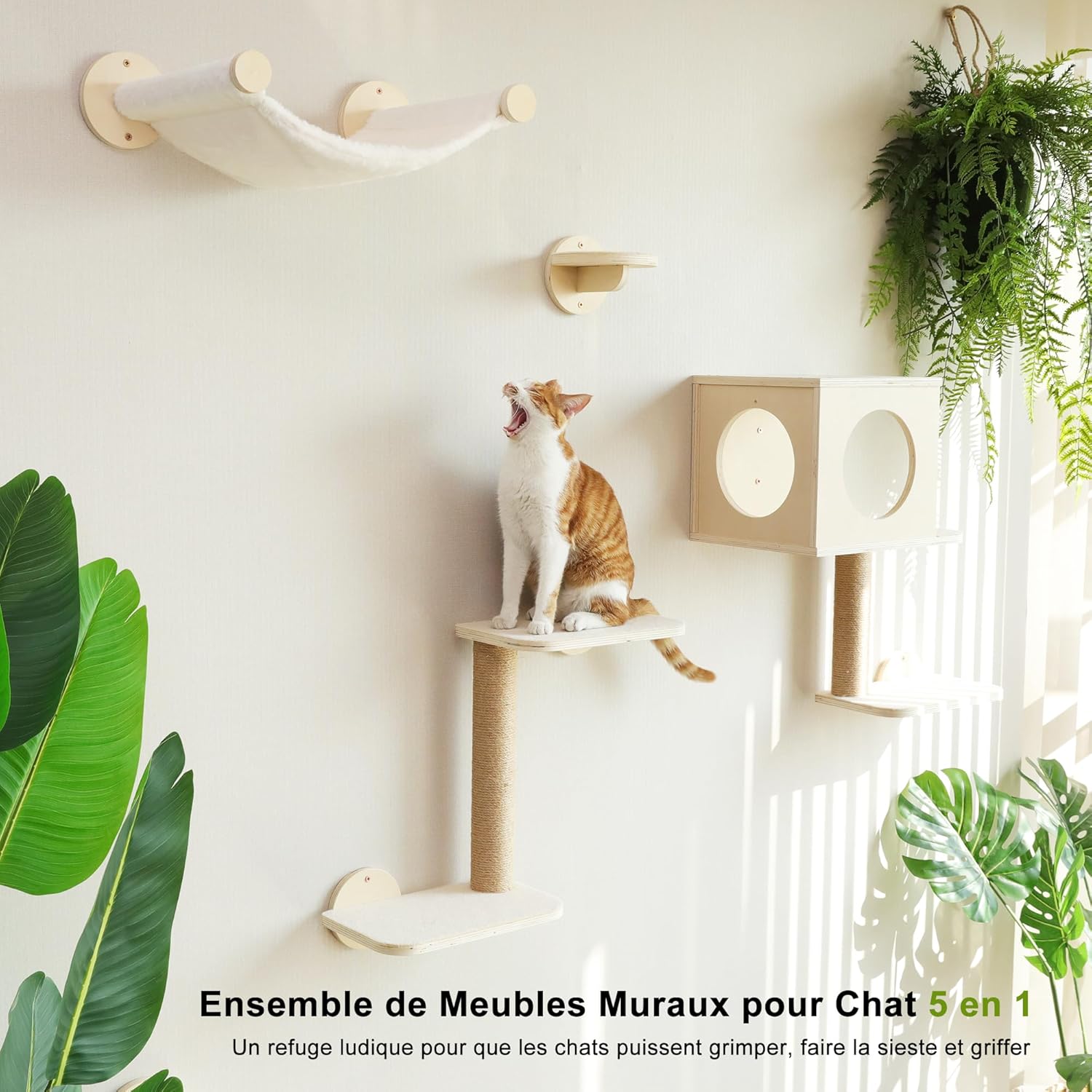 Thumbnail 3 de FUKUMARU Étagères murales pour chat (set de 5) beige : parcours mural avec hamac et zones à griffer