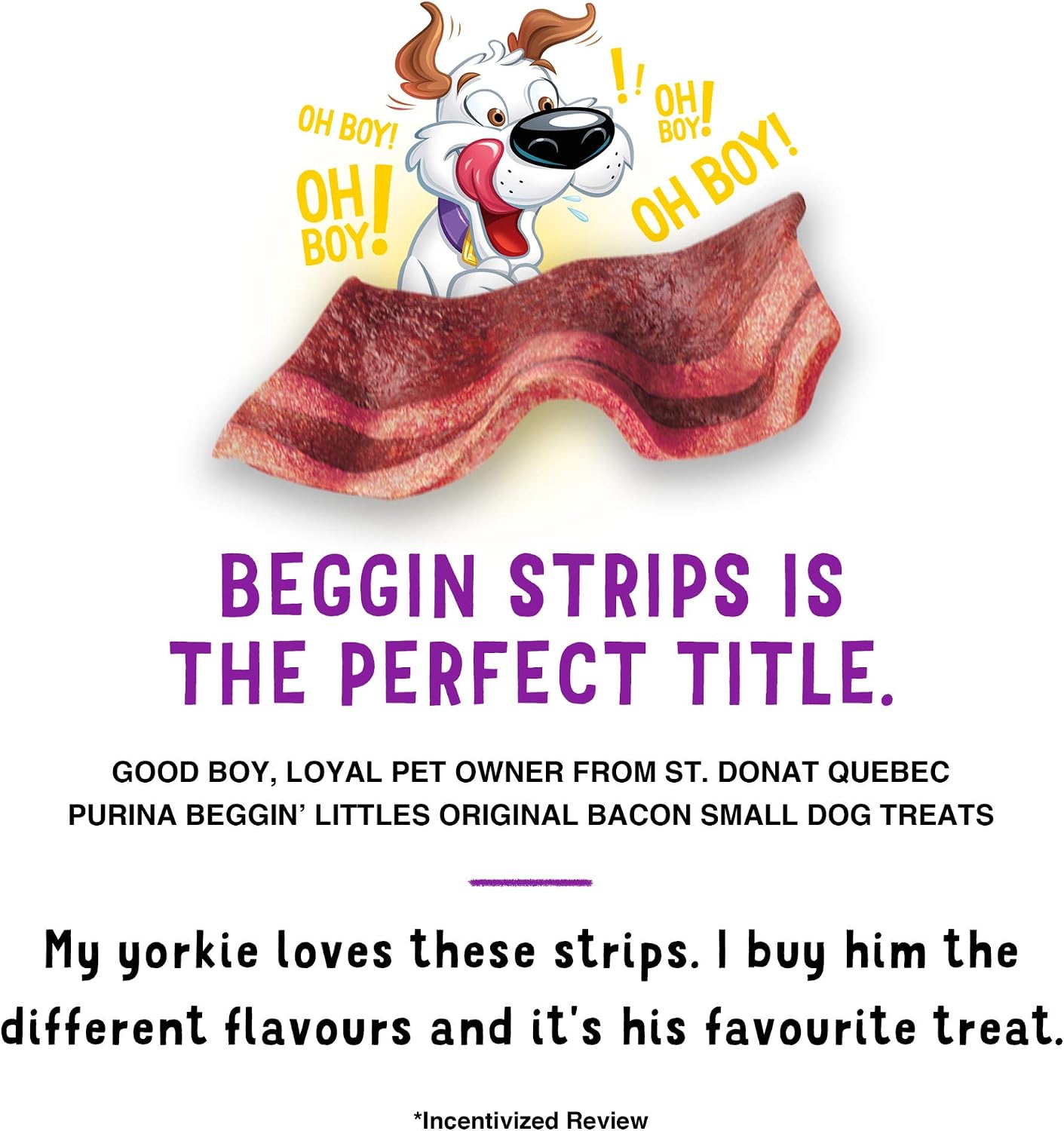 Thumbnail 6 de Purina Beggin' Fun Size Dog Treats for Small to Medium Dogs, Original with Bacon — 25 oz Pouch