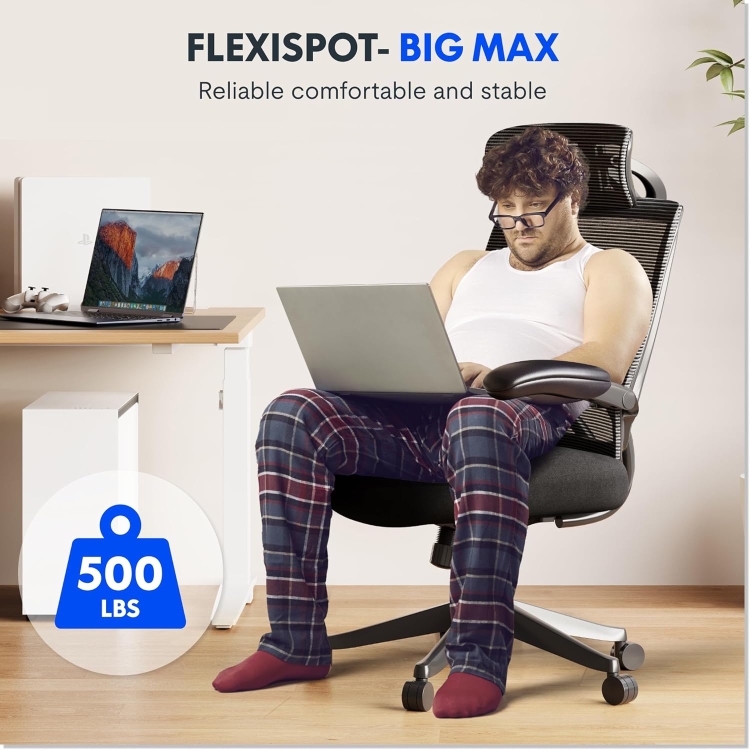 Thumbnail 2 de FLEXISPOT Ergonomic Office Chair 227kg