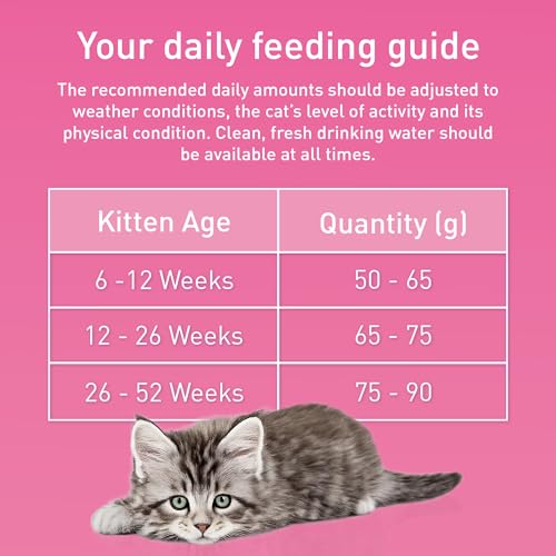 Thumbnail 8 de Purina ONE Kitten Chicken Dry Cat Food 750g (Pack of 4) review