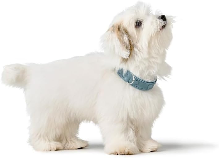 Thumbnail 6 de HUNTER Hundehalsband SOHO X Love – hellblau, Weichleder, geeignet für kleine Hunde und Welpen (Größe 42)