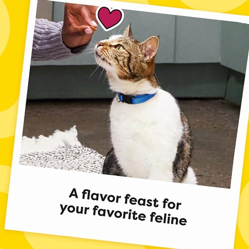 Thumbnail 9 de Temptations MixUps Crunchy and Soft Cat Treats, Catnip Fever — 30 oz