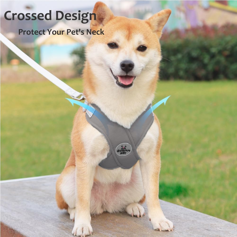 Detalle 2 de FEimaX No Pull Dog Harness and Lead Set for Small to Medium Dogs