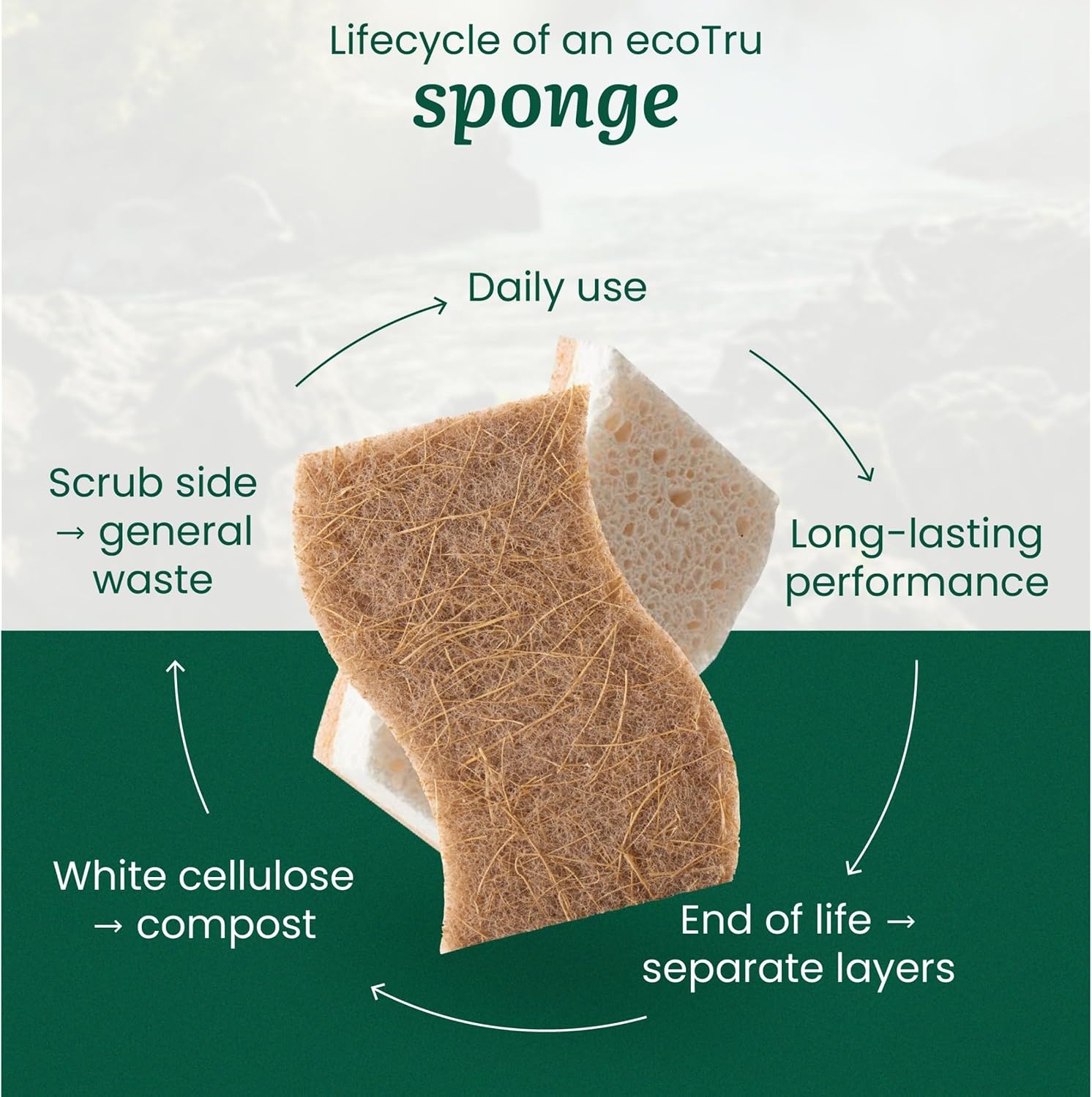 Detalle 1 de ecotru Natural Cellulose Sponge schuursponsjes van cellulose en kokosvezel, 12 stuks