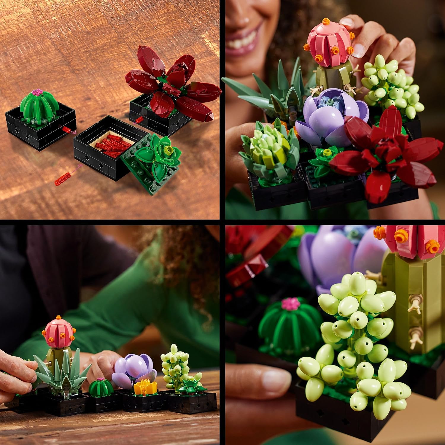 Detalle de LEGO Botanicals Succulents 10309 – Build 9 Small Artificial Plants