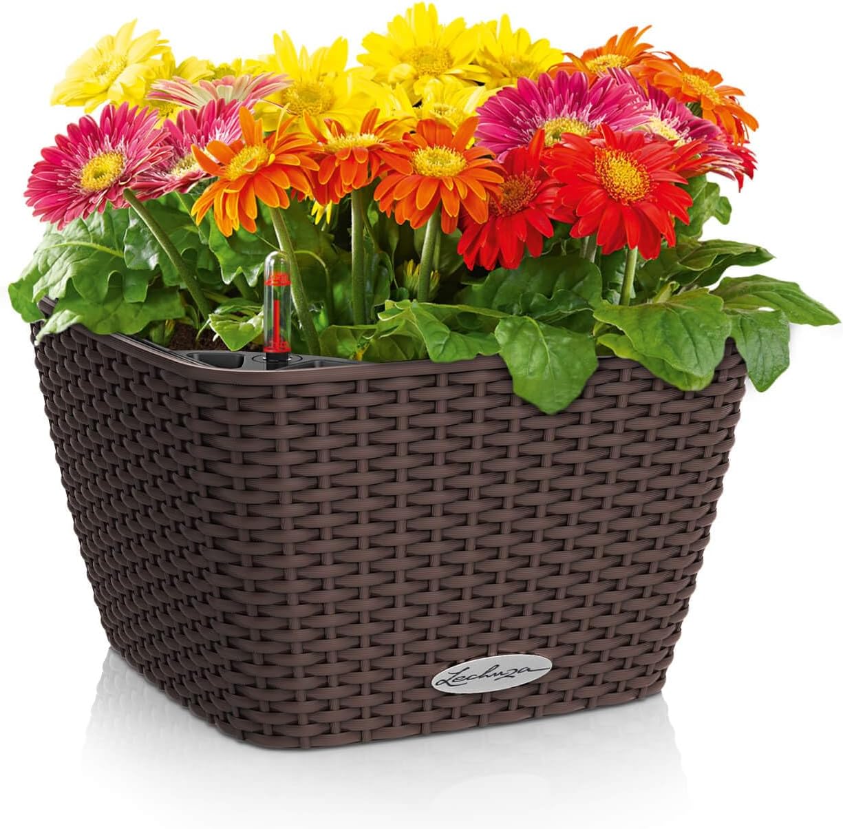 Detalle 2 de LECHUZA Bacino Cottage moka 15455
