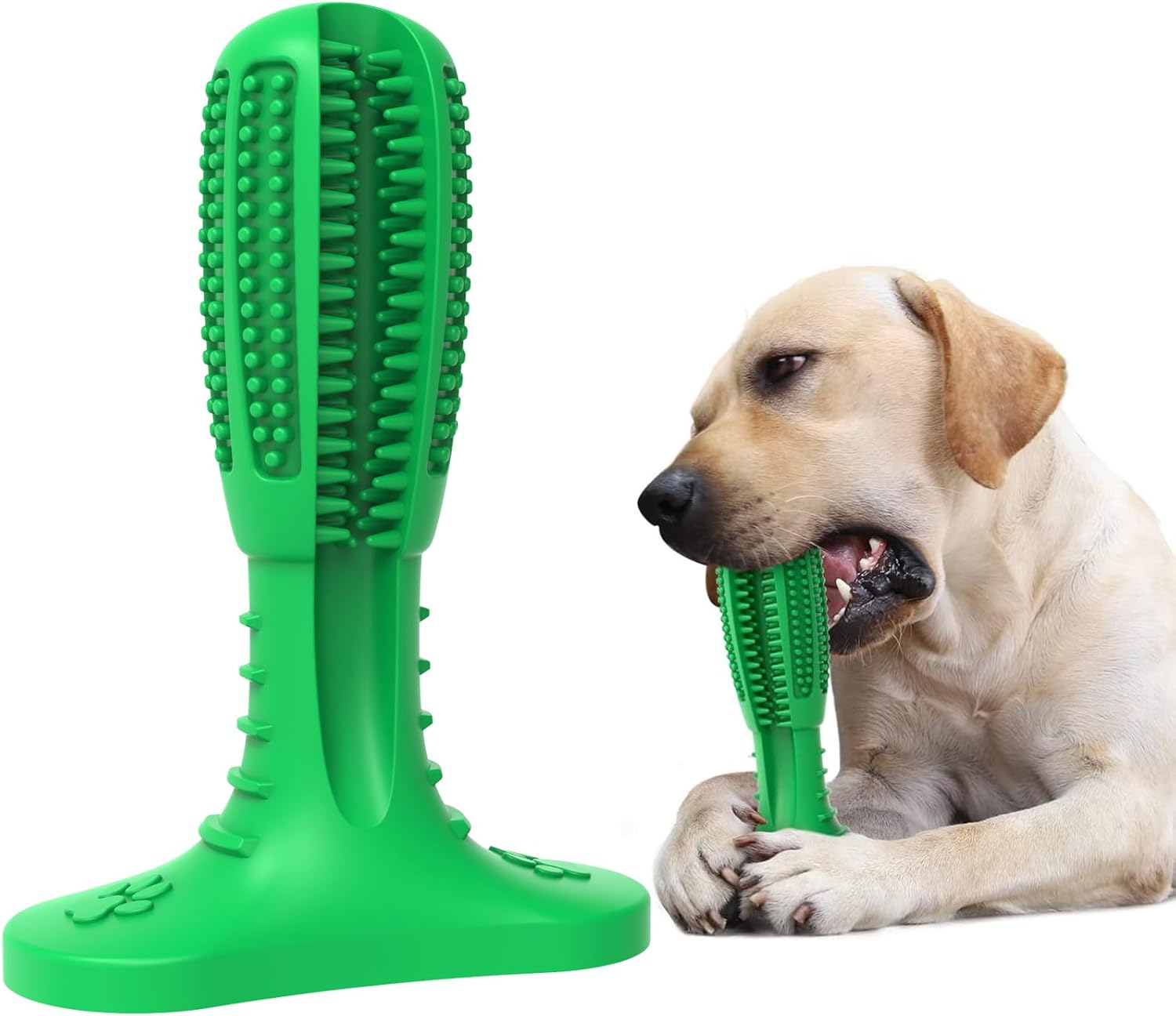 Detalle de HETOO Dog Chew Toys Natural Rubber Grinding Rod with Toothbrush-Style Bristles