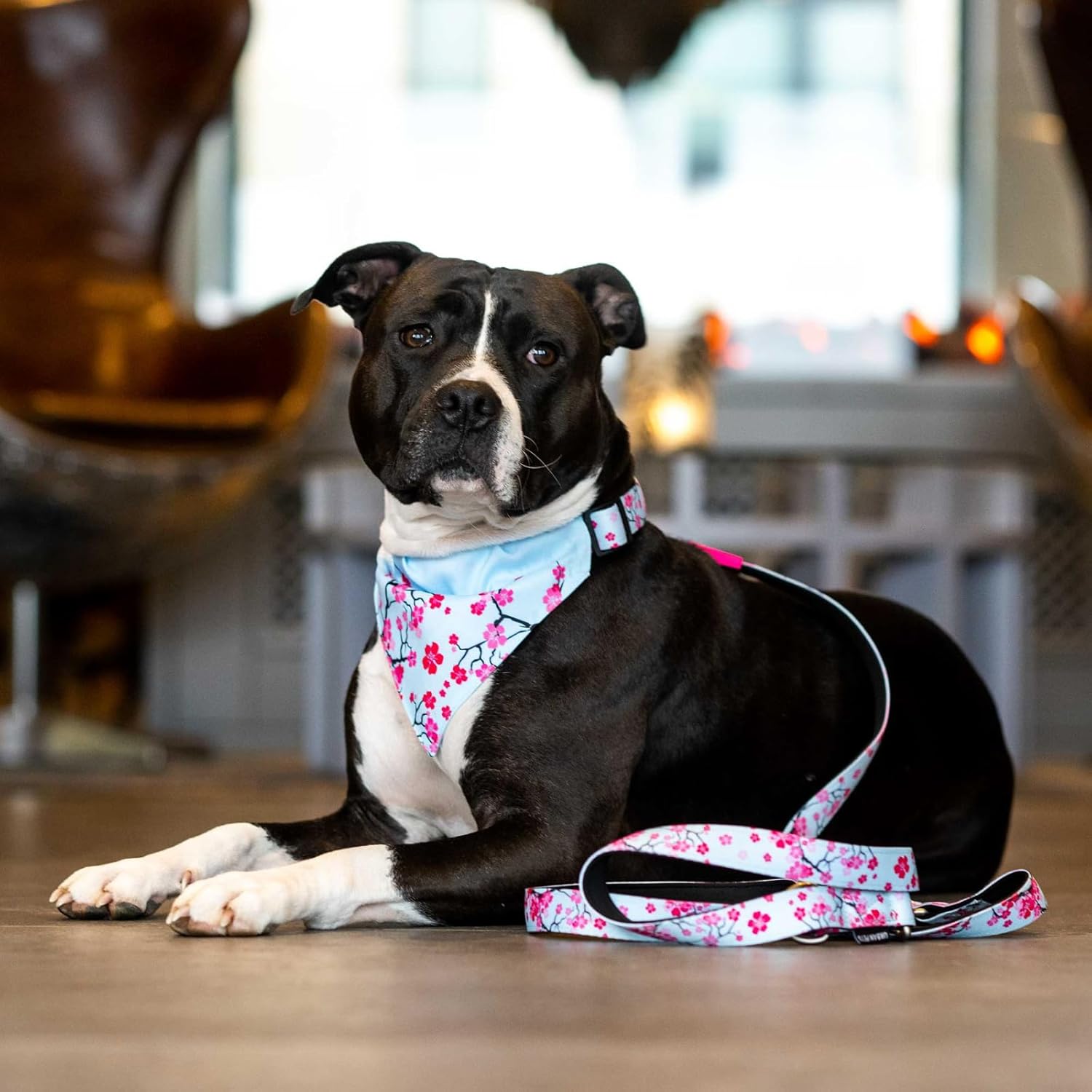 Thumbnail 4 de Max & Molly Multifunktions-Hundeleine 2 m mit 2 Karabinern (Cherry Bloom/XS) – gepolstert, sicher & flexibel